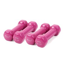 에코리즈 미용 아령 2p, 0.5kg, 2세트