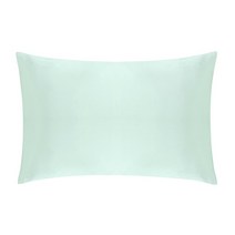 100% 자연 뽕나무 실크 베개 케이스 지퍼 커버 건강한 표준 퀸 킹 여러 가지 빛깔의, 02 Light green_04 40x60 cm