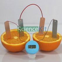 화학전지-과일전지세트(금속의이온화경향)(4인) RKT
