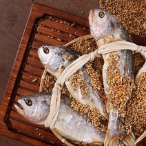 영광 법성포 부세 보리굴비 특대 프리미엄 10마리, 특대(28~30cm 10마리), 10개