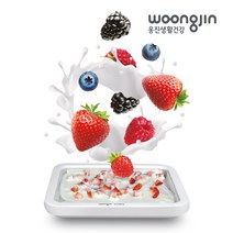 우리 가족을 위한 직접 만들어 먹는 웅진 아이스크림 메이커, 단품