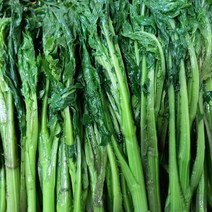 울릉도 삶은 엉겅퀴 나물 1.0kg, 삶은 엉겅퀴나물 1.0kg