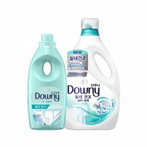 다우니 [다우니]엑스퍼트 실내건조 투게더팩 섬유유연제 1L+세탁세제 2.8L, 1세트