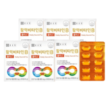 종근당건강 활력비타민B 800mg 360정 12개월분, 활력비타민B 6박스