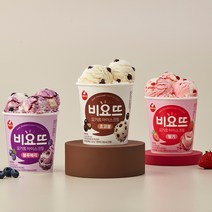 서울우유 비요뜨 파인트 아이스크림 3종 골라담기, 블루베리