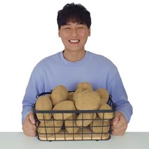 국내산 카스테라 옛날 수미 감자, 5kg / 특 / 110g이상