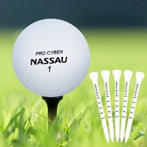 낫소낫소 3피스 컬러 골프공 (10개입), 화이트, 10개