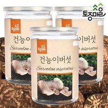 [토종마을] 건능이버섯 50g, 3개