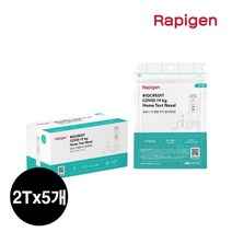 [래피젠] 래피젠 자가검사 키트 2개입 X 5개(10T), 상세페이지 참조
