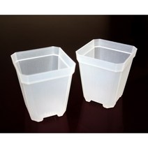 (국내발송) 투명사각화분 - 슬릿분 롱슬릿분 삽목분 플분 투명포트 10개 20개 30개 40개, 반투명 사각 (대) 20개