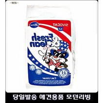 죽은발톱관리 고양이키울때필요한것 고양이길들이기 고양이키울때