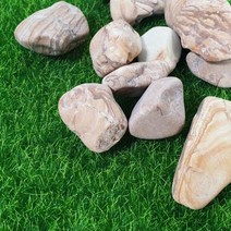천연 목문석 5kg 정원자갈 어항 바닥재 화분 여과사 조경 테라리움, [목문석 5kg] -1호(3~5mm)