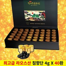 경희 천기녹 침향단 고함량 침향 수지 활력환 4g 40환 침향환 침향원 침향고 효능 선물세트, 단품, 단품