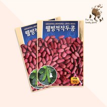 웰빙적작두콩 10립 미래종묘 열매채소류 씨앗, 1개