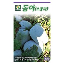 오크라 50립 - 씨 씨앗 오크라씨앗 오크라씨 채소씨 채소씨앗 별모양고추 고추씨, 20_다농_동아(소동과)(30립)