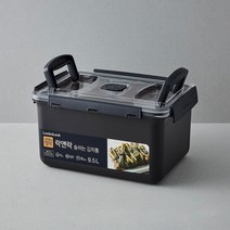 [21년 NEW 컬러]숨쉬는 김치통 9.5L (HPL874BDG)