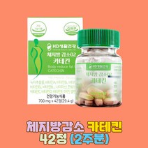 요다이스요 카테킨 녹차 다이어트 EGCG 칼로리컷팅 녹차추출물, 29.4g, 1개