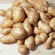 해남 인디언감자 (아피오스) 손질세척으로 편리한 땅끝마을 콩감자, 2kg, 1개
