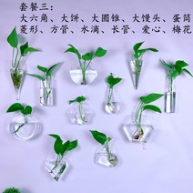 카디날테트라 구피 인테리어 걸개식 칼라테트라 애완물고기 레드스워드 워터레터스 물배추 장미물배추 벽걸이 화분 어항, 패키지3+액세서리(식물미포함)