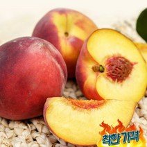 말랑이 시세 신비 중과, 말랑이 중과 4kg, 말랑이 중과 4kg