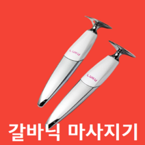 여자 남자 집에서 갈바닉 이온 얼굴 피부 화장품 흡수 셀프 LED 마사지기 마사지 홈 케어 기구 기계 기기 관리, 얼굴 마사지기