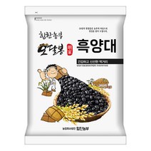 힘찬농부오달봉 수입산 검정강낭콩 흑양대 흑동부 캐나다산, 1개, 1kg