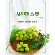 산지직송 특상급 영천 샤인머스켓(1~3수), (2수)1.6kg