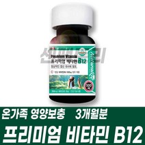 프리미엄 비타민 B12 온가족 영양보충 비타민B군 영양제 먹기쉬운 간편한 소형 타블렛 정 캐나다 건강기능식품