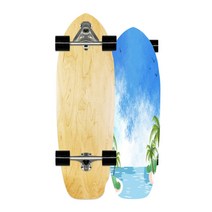 스케이트 보드 land surfboard 초보자 cx7 bridge men women, 4