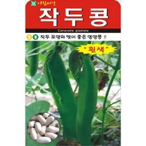 국산 넝쿨지는 오리지널 작두콩 적색 씨앗 5립