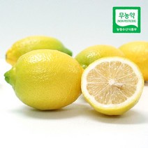 제주 무농약 레몬 국산레몬 5kg, 1개