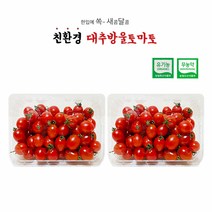 이슬마루 [1kg + 1kg] 무농약/유기농 대추방울토마토, 1