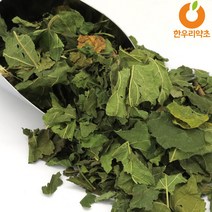 오디잎차 400g 국산 티백 뽕잎차 효능, 뽕잎차30티백