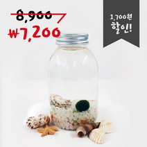 미니가든 마리모 키우기 우유플(대) 어항만들기 DIY세트 체험학습, 색돌3.노랑
