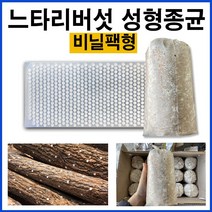 [느타리버섯 종균] 접종형 성형 버섯 종균 성형버섯종균 캡슐형 느타리 병 종균 텃밭 가정, 02. 느타리버섯(1병 700G)