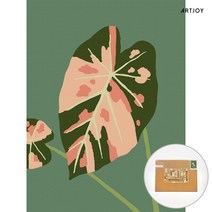아트조이 DIY 명화그리기 (물감2배) 수채화 알로카시아 40x30cm