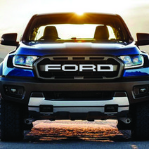 ArtX 포드 레인저 랩터 FORD 그릴 데칼 스티커 NO.401, 3D카본시트지-골드