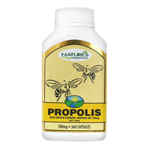 네이쳐스그린웨이 고함량 프로폴리스 500mg 360정(12개월분), 1개