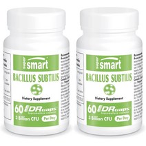 슈퍼스마트 고초균 바실러스 서브틸리스 Bacillus Subtilis 30억 60캡 2개