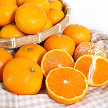 GAP 인증 고당도 하우스감귤 2.5Kg 소과, 단품