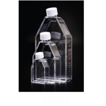 오피스안 Cell Culture Flask 세포배양플라스크 250ml(170ml)-SPL) 5pcs 팩 SP70375 표면 무처리(Non-treated)