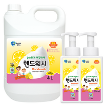 버블윅 핸드워시 레몬향 4L+500ml공병2개 거품형 손세정제