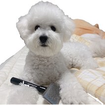 1ALL 원올 시스템 슬리커 브러쉬 S/M/L 강아지 비숑 말티즈 포메 털관리 털엉킴 빝, S