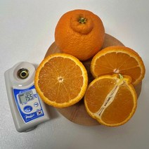 제주 신품종 스테비아급 고당도 한라봉 써니트, 써니트/가정용/10kg/중대과(38~45과내외)