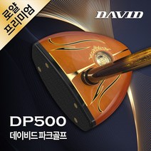 스포츠_ 데이비드 로얄 프리미엄 파크골프채 3종세트 DP500 가방 볼 클럽