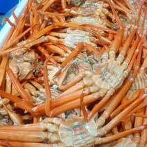 팜커머스 당일조업 육수용 연지홍게 3KG 8-12미내외, 단품