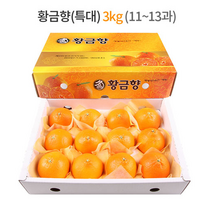 제주 황금향 선물세트 3kg (특대과) 11-13과 / 하우스 노지 고당도 귤 감귤 밀감 레드향 천혜향 카라향 청귤 수라향 신비향 가정용 추석 명절 설 감사 은사 선물 조생 타이벡, 3kg (대) 14-16과