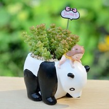 ROOGO 루고 화분 소녀와 동물친구들 팬더