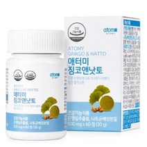 애터미 징코앤낫토, 6개, 58정