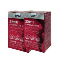GNM자연의품격 코큐텐11 500mg x 30캡슐 x 2개 (2개월분), 상세페이지 참조, 상세페이지 참조
